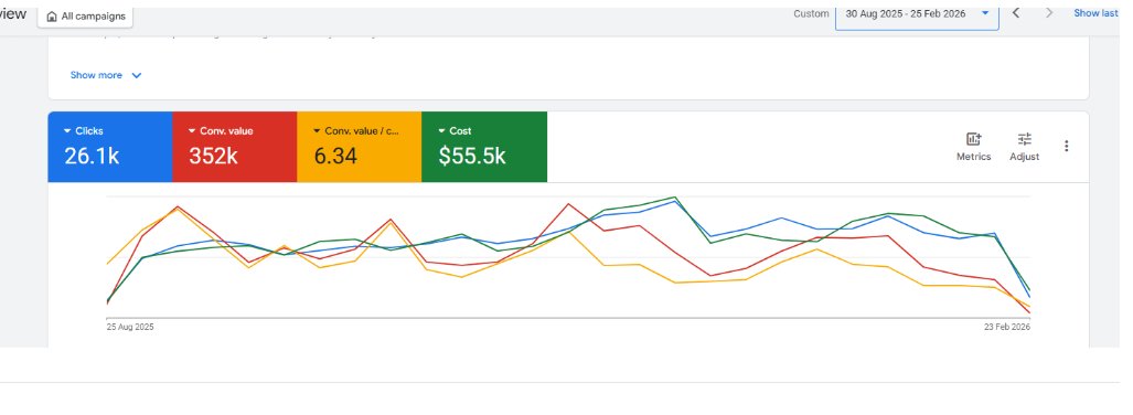 Google Ads results screenshot
