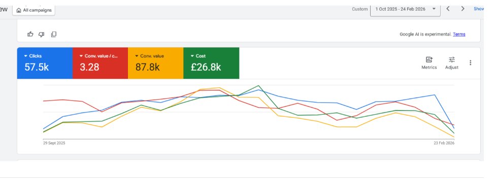 Google Ads results screenshot